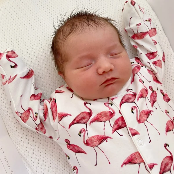 Flamingo Cotton Sleepsuit - Image 2