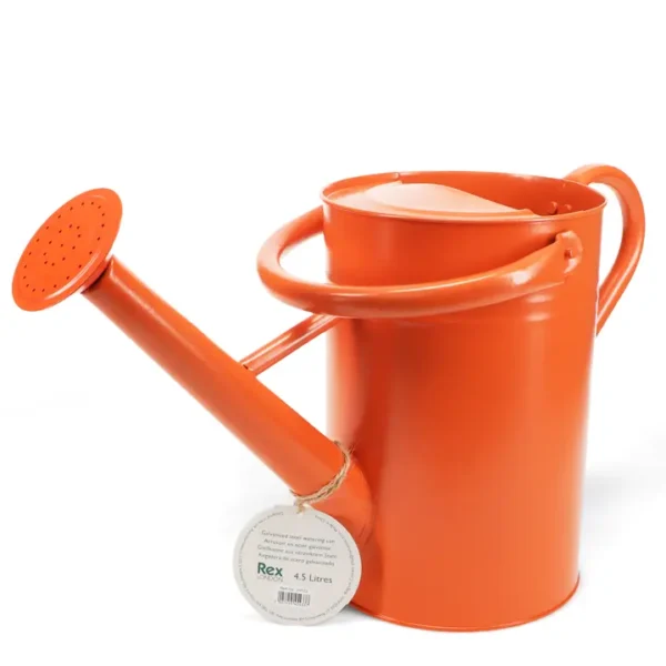 Wholesale Galvanised steel watering can 4.5L - Orange - Image 3