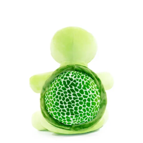 Turtle - Image 4